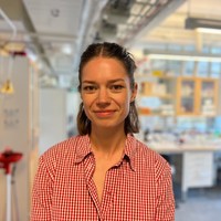 Åsa Jerlhagen