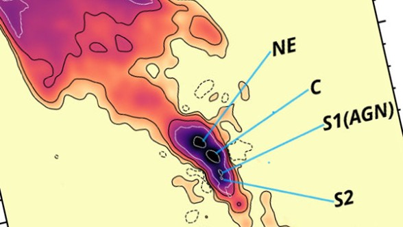 Credit: Cosentino et al 2024